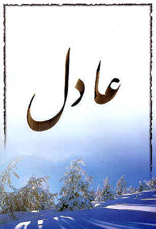 Mr ADIL
